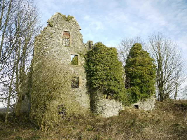 Auchans Castle ruins rising above dry grass and scrub