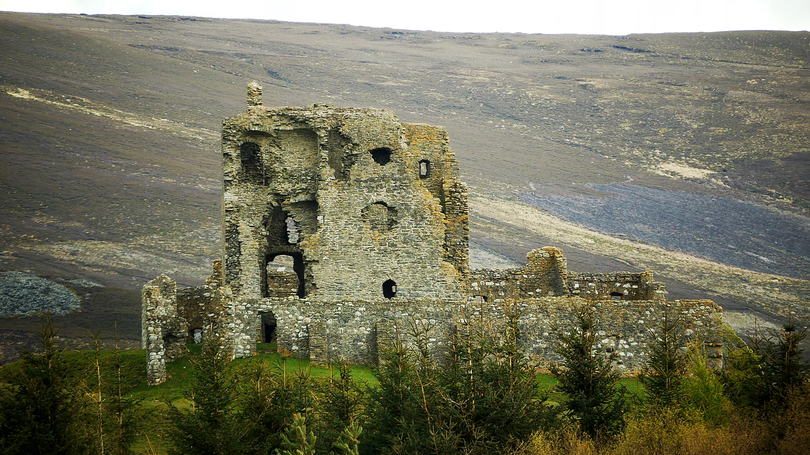 Auchindoun Castle: tower above trees and Glen Fiddich