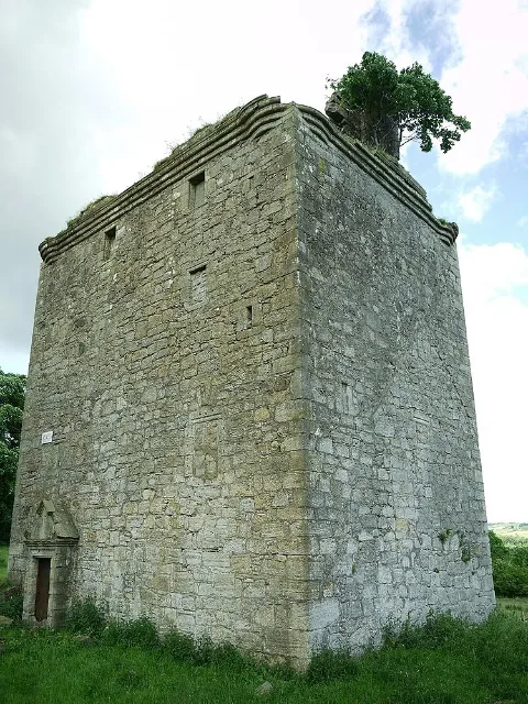 Eckansicht von Barr Castle mit zwei Steinmauern und Bewuchs am oberen Rand.
