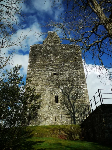 Ściana wieży wśród bezlistnych gałęzi · Cardoness Castle