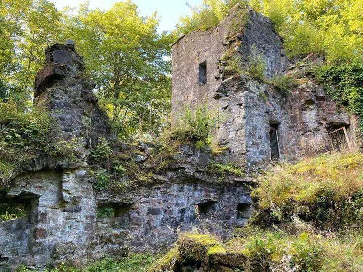 Finlarig Castle · Originalfotografie 6