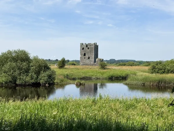 Threave Castle